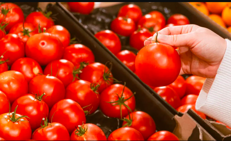 México impone precios mínimos al tomate para frenar impacto del arancel de EE UU