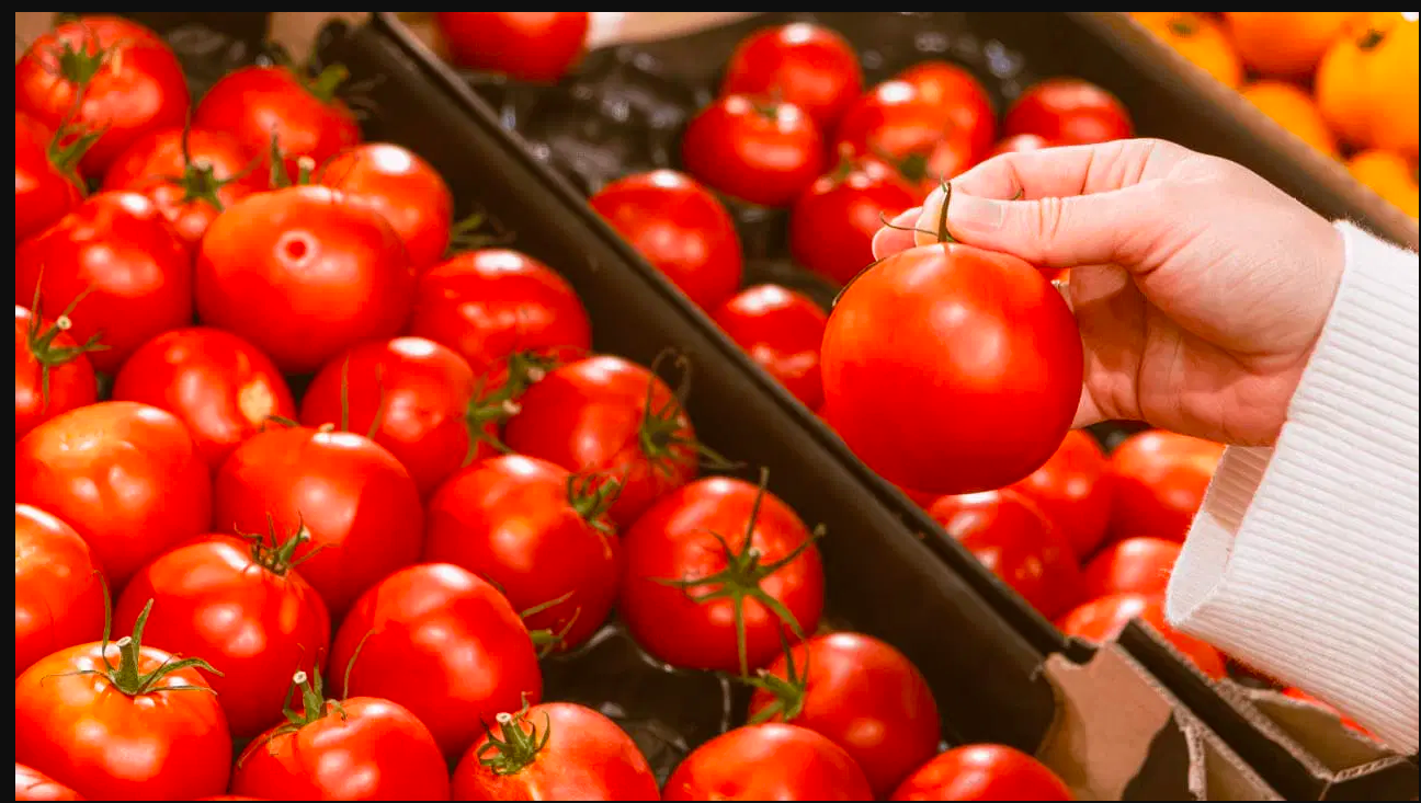 México impone precios mínimos al tomate para frenar impacto del arancel de EE UU