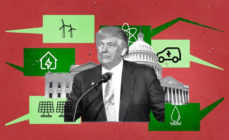 Trump culpa a energías renovables del alza en tarifas eléctricas