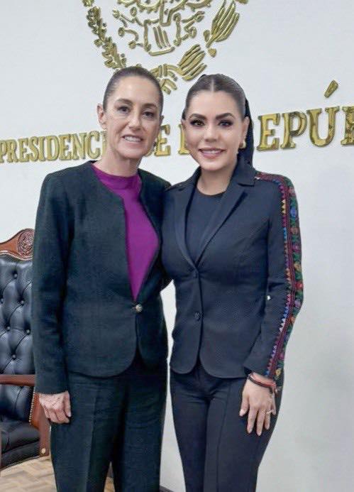 E. salgado participa en reunión del Gabinete de Seguridad encabezada por CS en CDMX, Gro