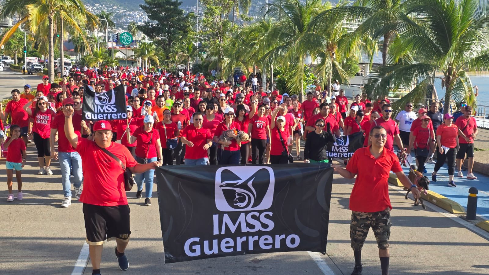 IMSS Guerrero realiza caminata por el Día Mundial del Corazón en Acapulco