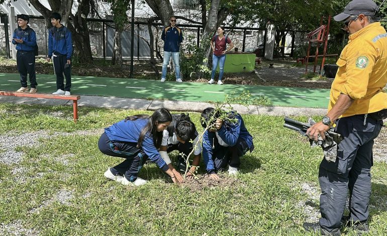 Siembran 120 árboles en la Unidad Deportiva de Chilpancingo