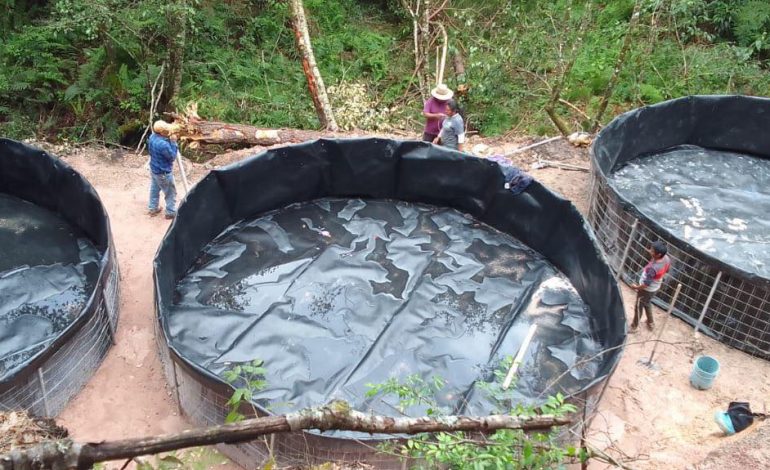 Sagadegro impulsa proyecto de E. Salgado para producir trucha arcoíris en Cochoapa