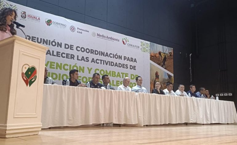 Conafor informa que disminuyeron los incendios forestales en Guerrero