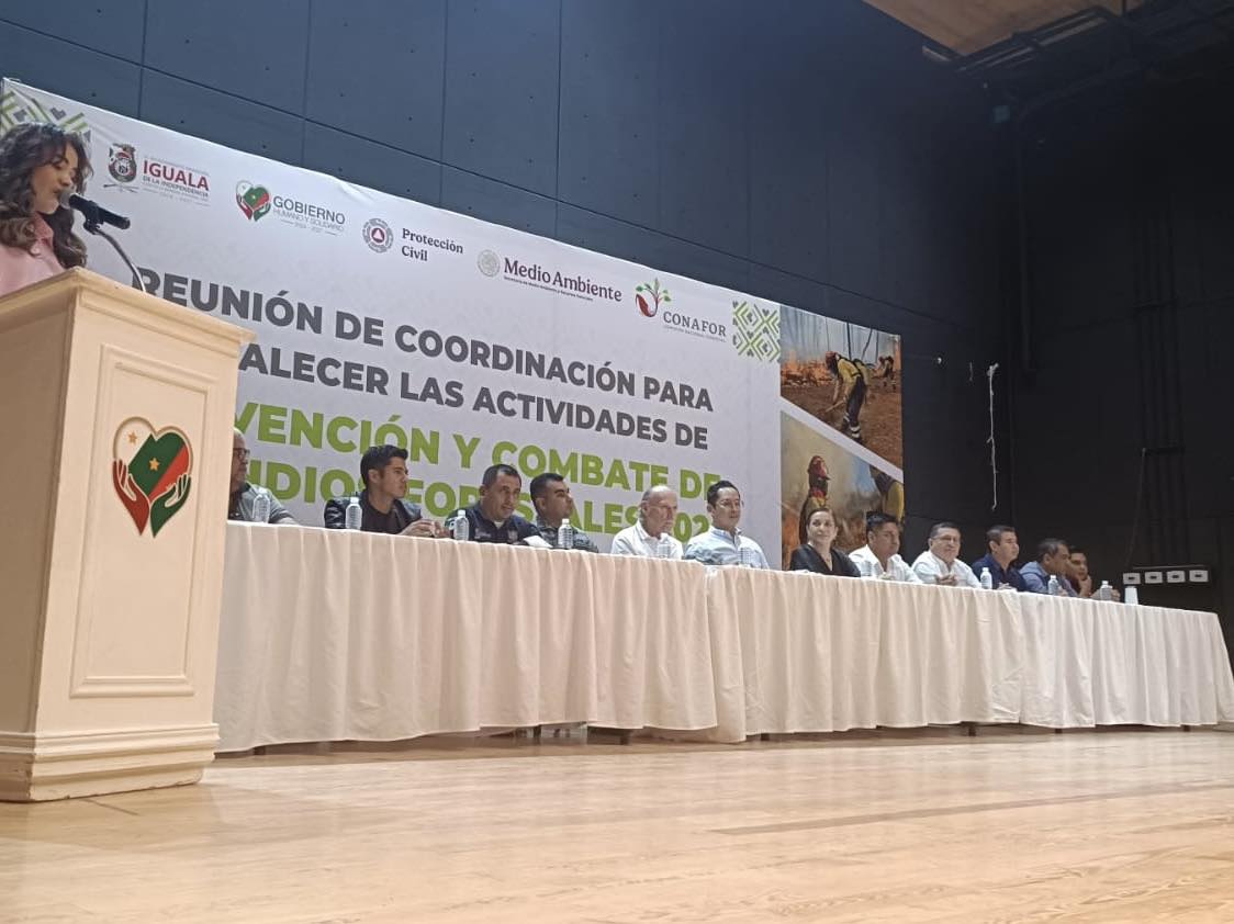 Conafor informa que disminuyeron los incendios forestales en Guerrero