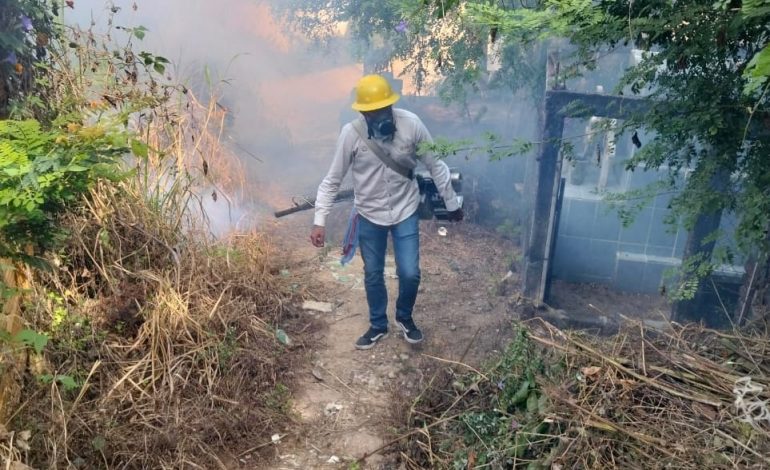 Guerrero reduce en 92% los casos de dengue y se posiciona en el 11º lugar nacional