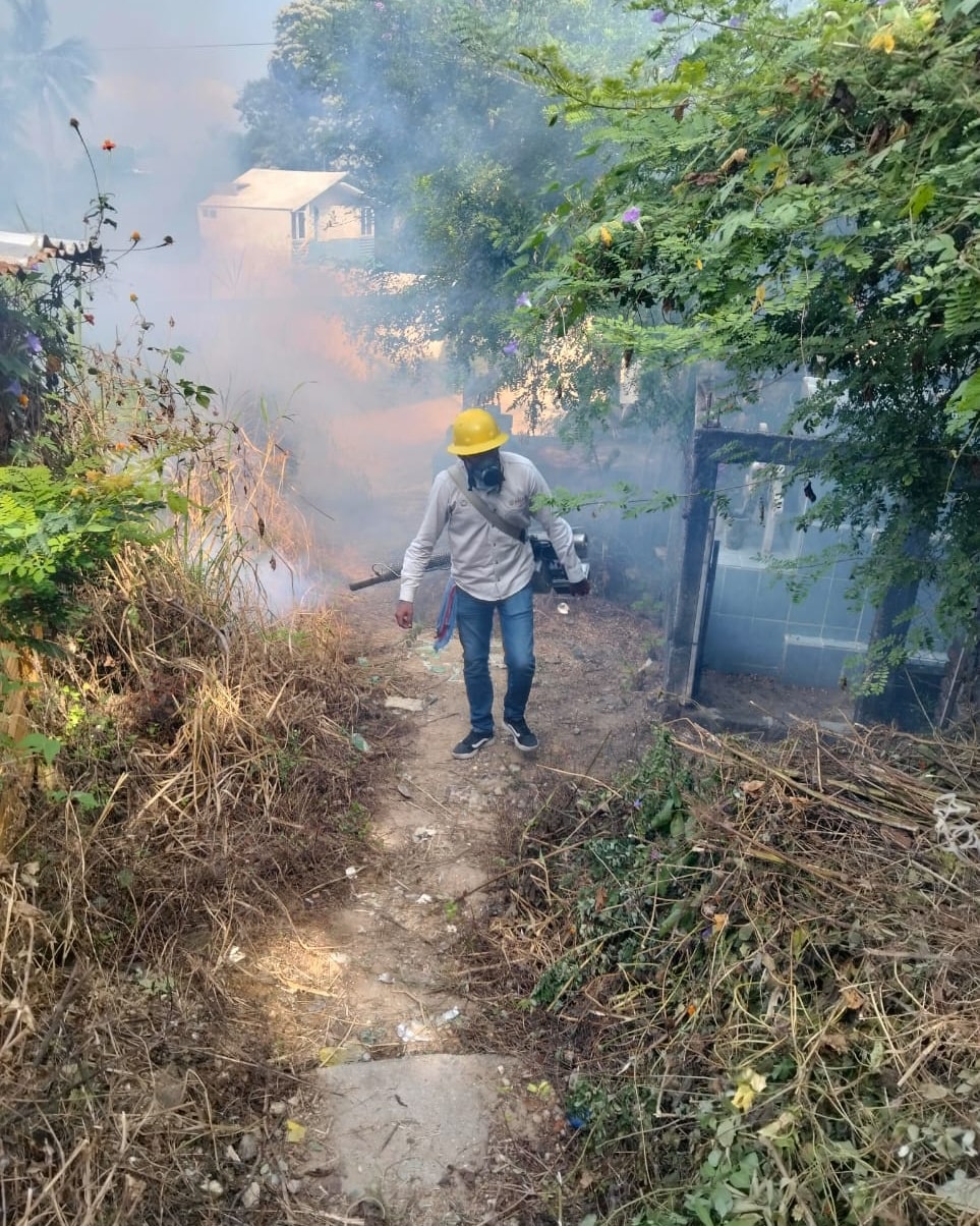 Guerrero reduce en 92% los casos de dengue y se posiciona en el 11º lugar nacional