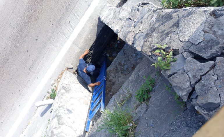 Rescatan a cachorro atrapado en alcantarilla del boulevard Vicente Guerrero