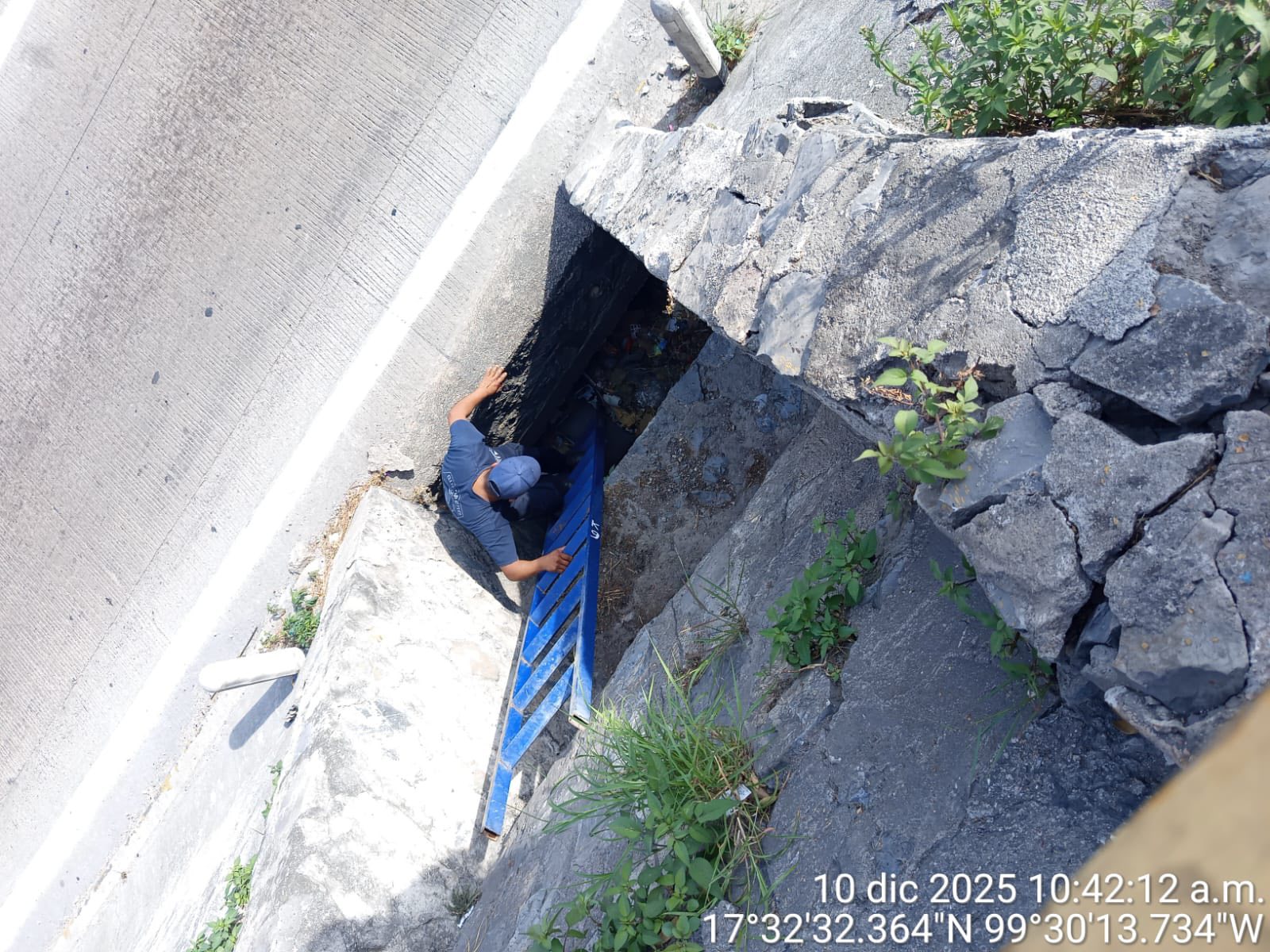 Rescatan a cachorro atrapado en alcantarilla del boulevard Vicente Guerrero