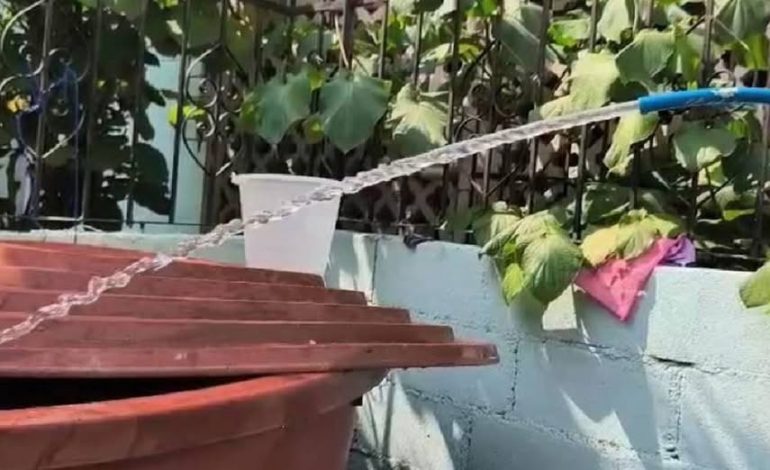 Autoridades confirman restablecimiento del suministro de agua potable en zonas de Acapulco