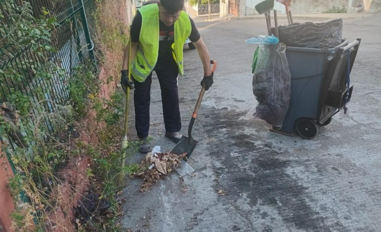 Despliega Servicios Públicos operativo intensivo de limpieza en Acapulco