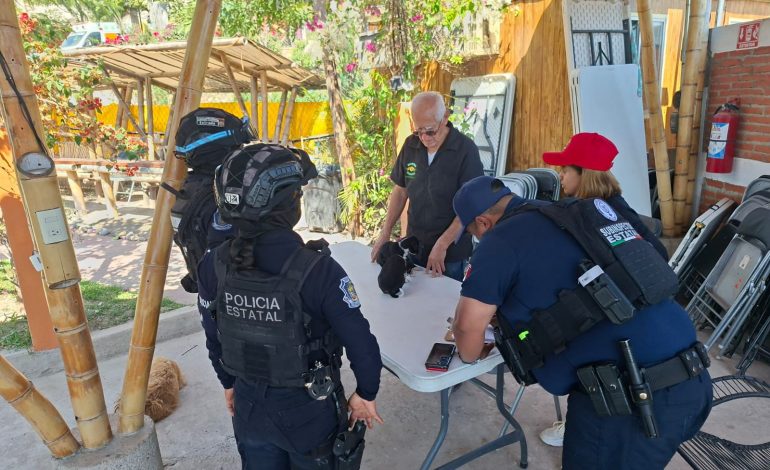 Policía Estatal rescata a dos cachorros abandonados en el centro de Chilpancingo