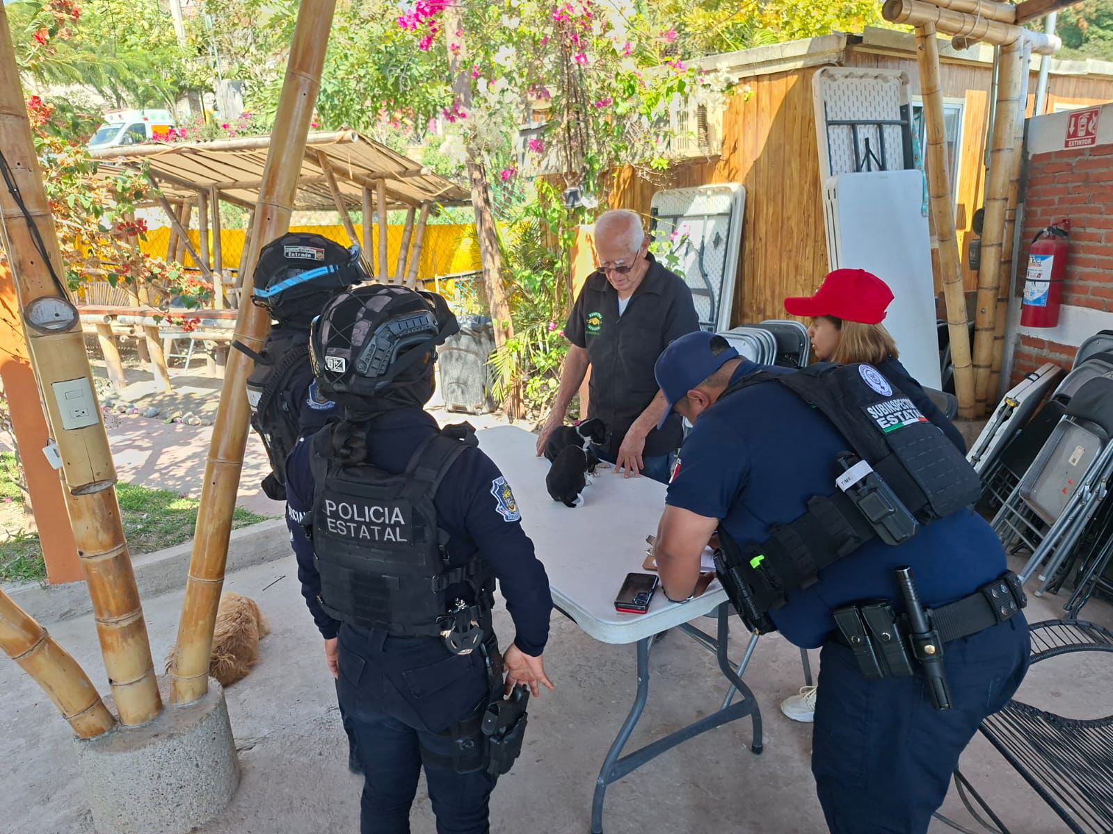 Policía Estatal rescata a dos cachorros abandonados en el centro de Chilpancingo