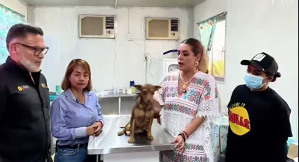 E. Salgado informa el rescate del perro “Canelo” en Villas el Sol tras reporte ciudadano