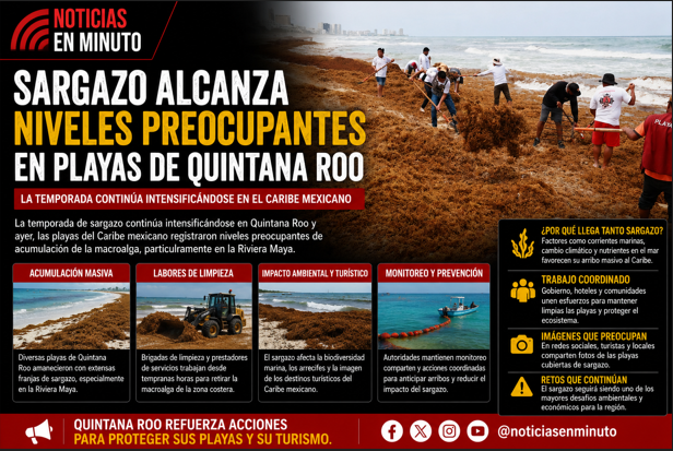 Sargazo alcanza niveles preocupantes en playas de Quintana Roo y refuerzan labores de limpieza