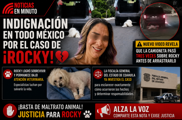 Indignación en Saltillo: investigan presunto caso de maltrato animal contra “Rocky”